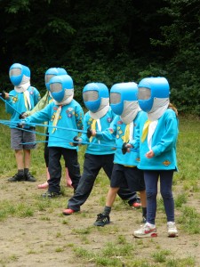 Beavers Fencing